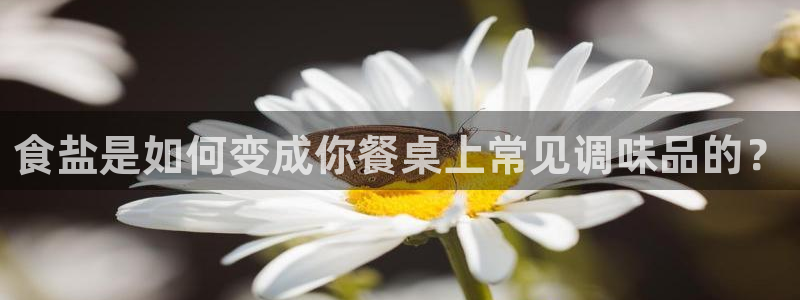 威九国际客服电话
