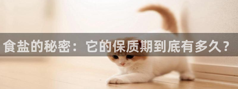 威九国际精选