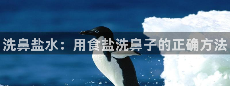 威九国际理论片最经典十首歌曲