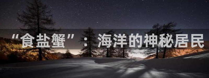 威九国际ppt免费吗