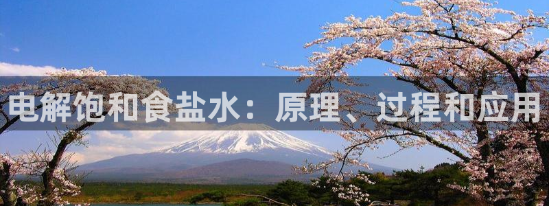 威九国际电子游戏