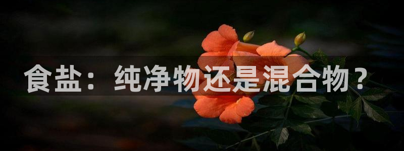 威九国际正规吗