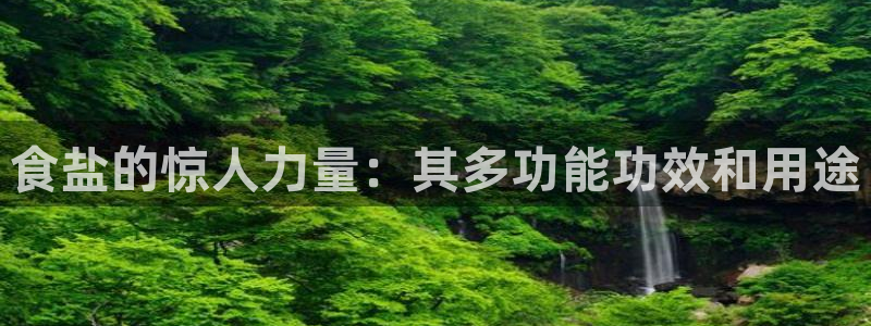 威九国际黄威尼斯
