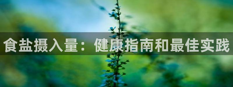 威九国际v18