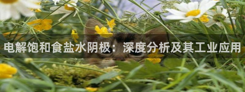 威九国际网站更新