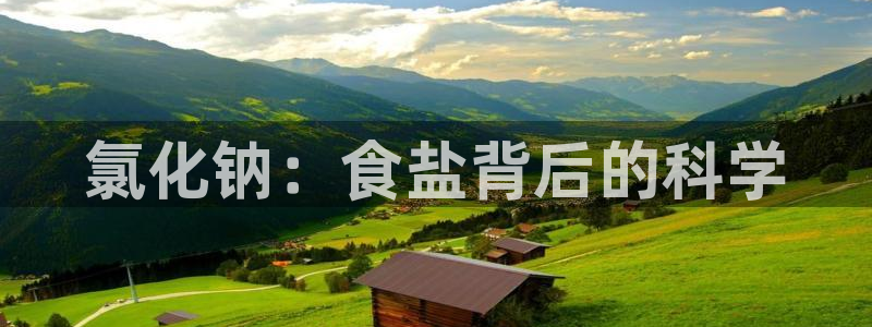 威九国际旗下艺人都有谁