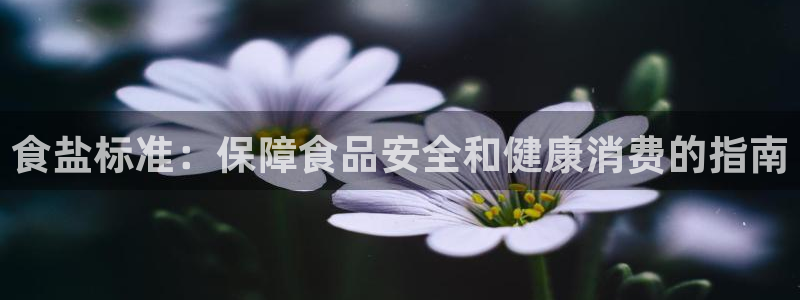 威九国际官网版