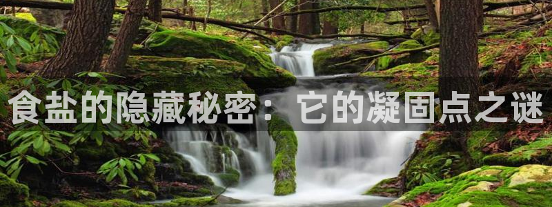 威九国际网站影视