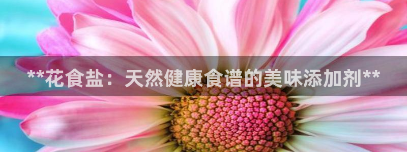 威九国际安全吗的认证团队