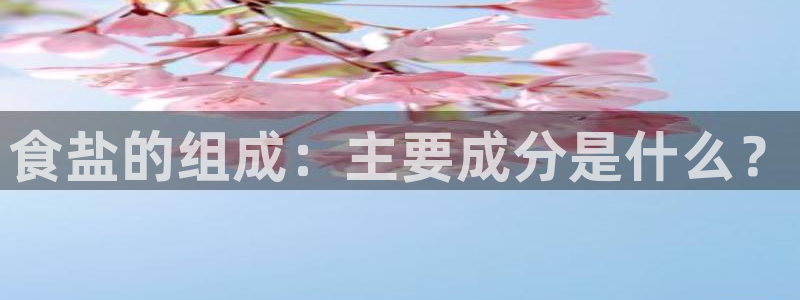 威九国际女明星