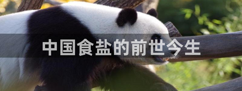 威九国际客服电话号码是多少