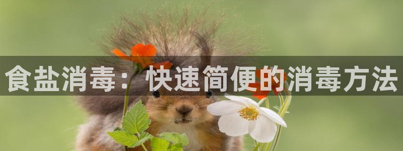 威九国际免费游戏