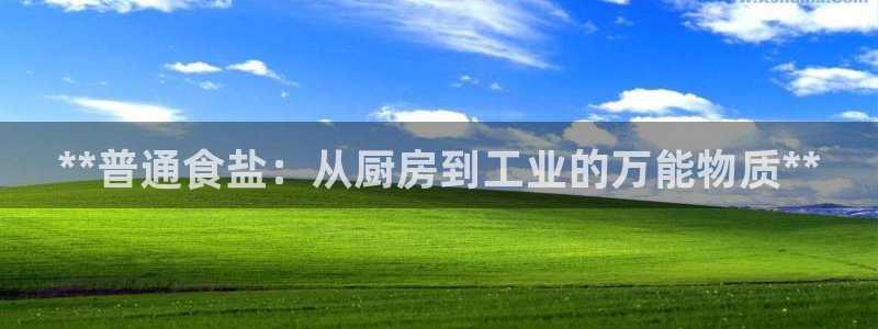 威九国际网站下载