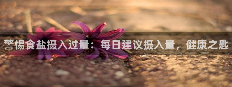 威九国际网站入口地址查询