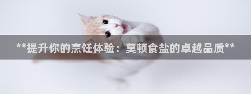 威九国际78mob游戏说明