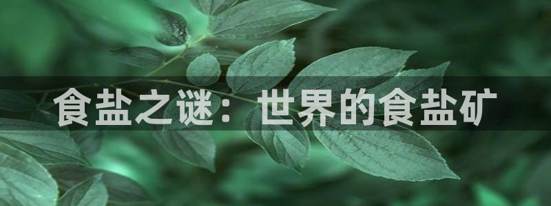 威九国际78mann