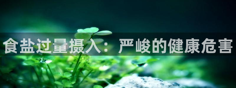 威九国际软件
