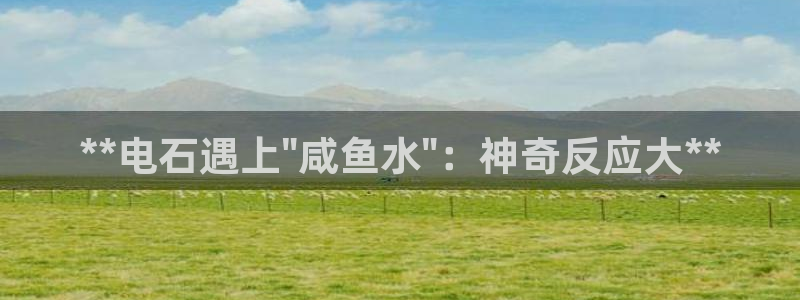 威九国际ppt免费吗