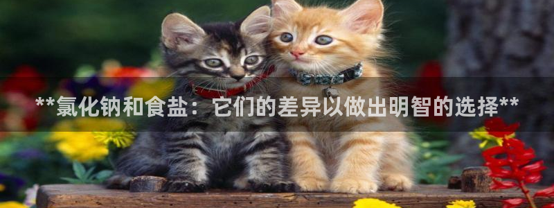 威九国际66在线