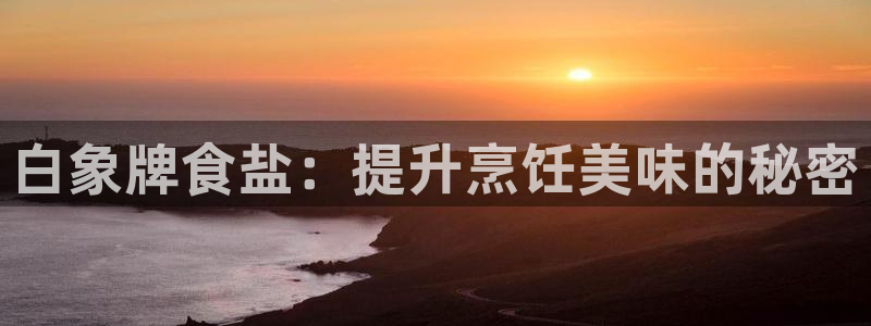 威九国际官网版