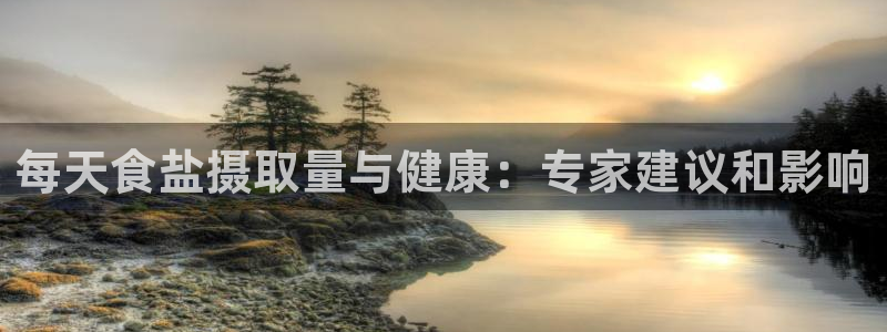 威九国际vA9618