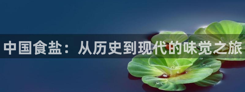 威九国际66m官网版