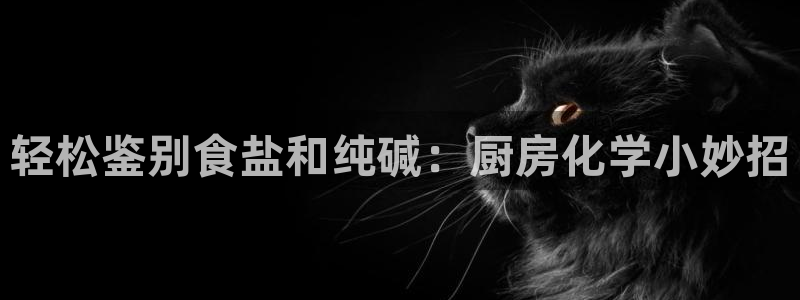 威九国际78mb特点