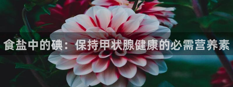 威九国际客服电话人工服务
