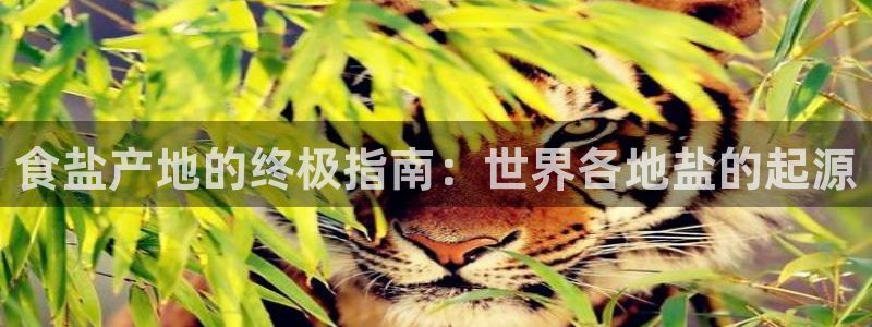 威九国际FF