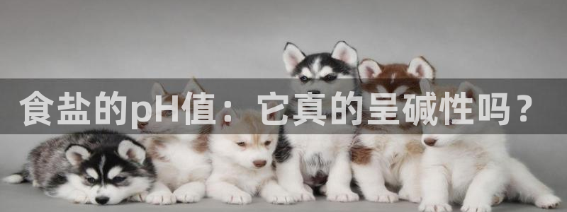 威九国际78mob游戏亮点
