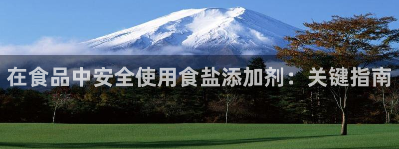 威九国际的演员