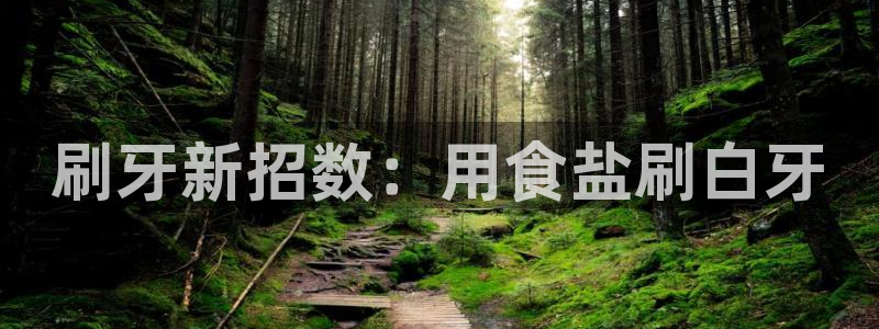 威九国际下载官网app
