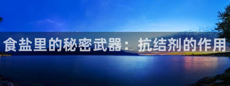 威九国际小说