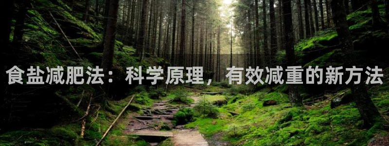 威九国际app网站