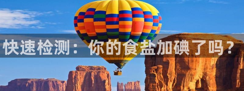 威九国际软件公司简介