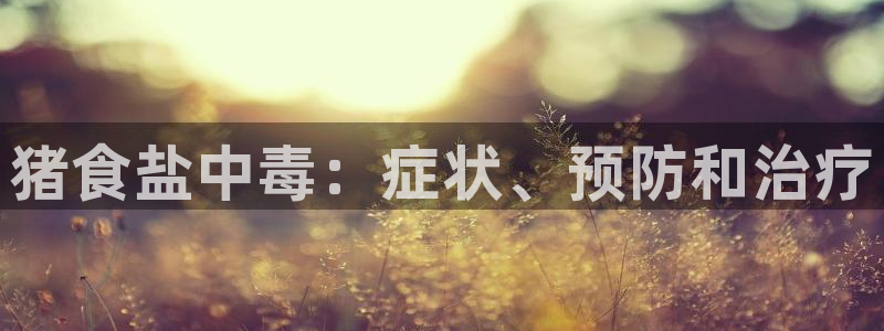 威九国际Info
