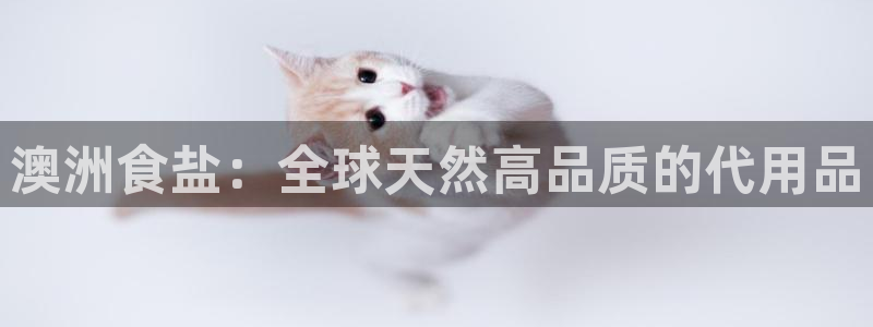 威九国际网站进入AB,AB