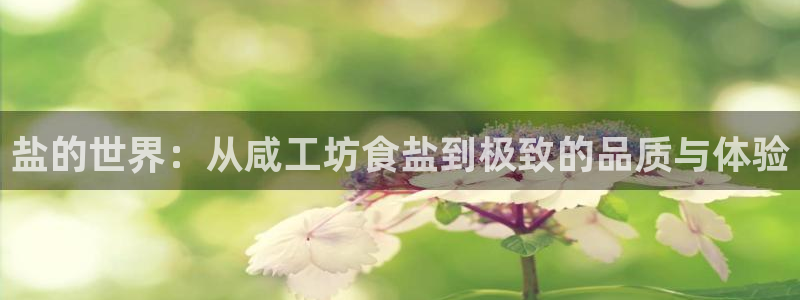 威九国际78mb游戏