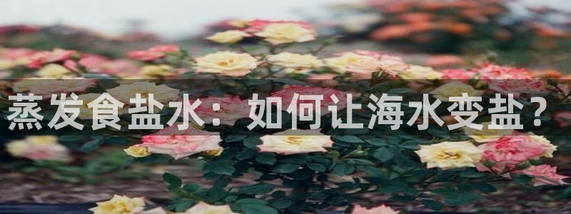 威九国际78mb42