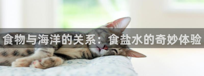 威九国际免费