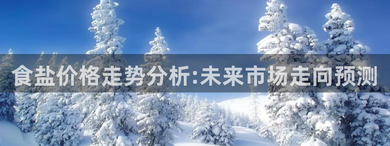 威九国际78