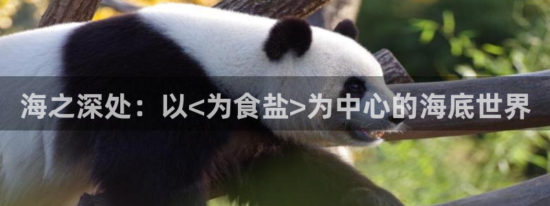 威九国际特殊奖励：海之深处：以<为食盐>为中心的海底世界