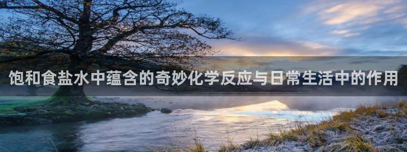 保定威九网络科技有限公司电话