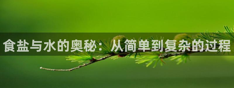 威九国际精免费下载