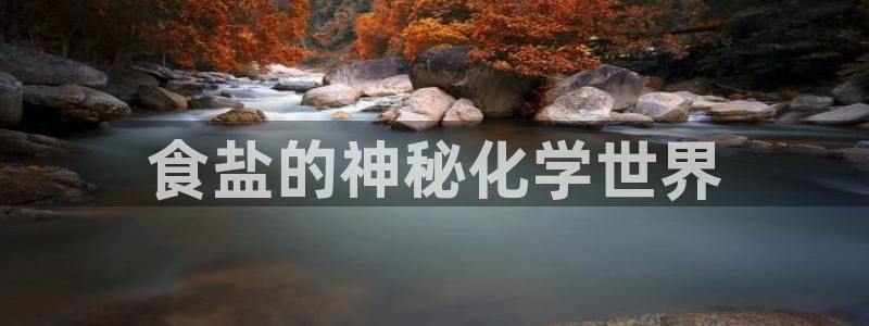 威九国际mm