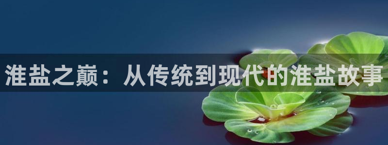威九国际官方入口官网